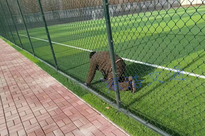 경기장 울타리